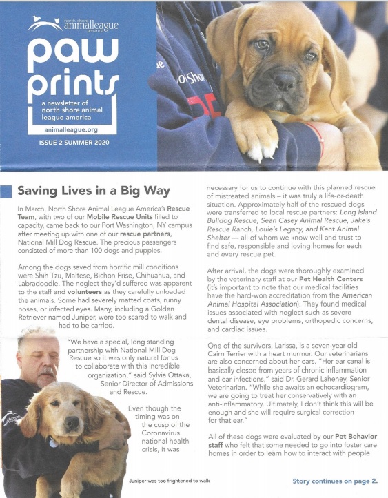 newsletter